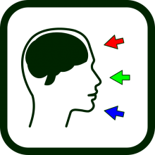 Icono de estimulación cognitiva